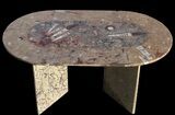 x Coffee Table With Fossil Orthoceras & Goniatites #52944-1